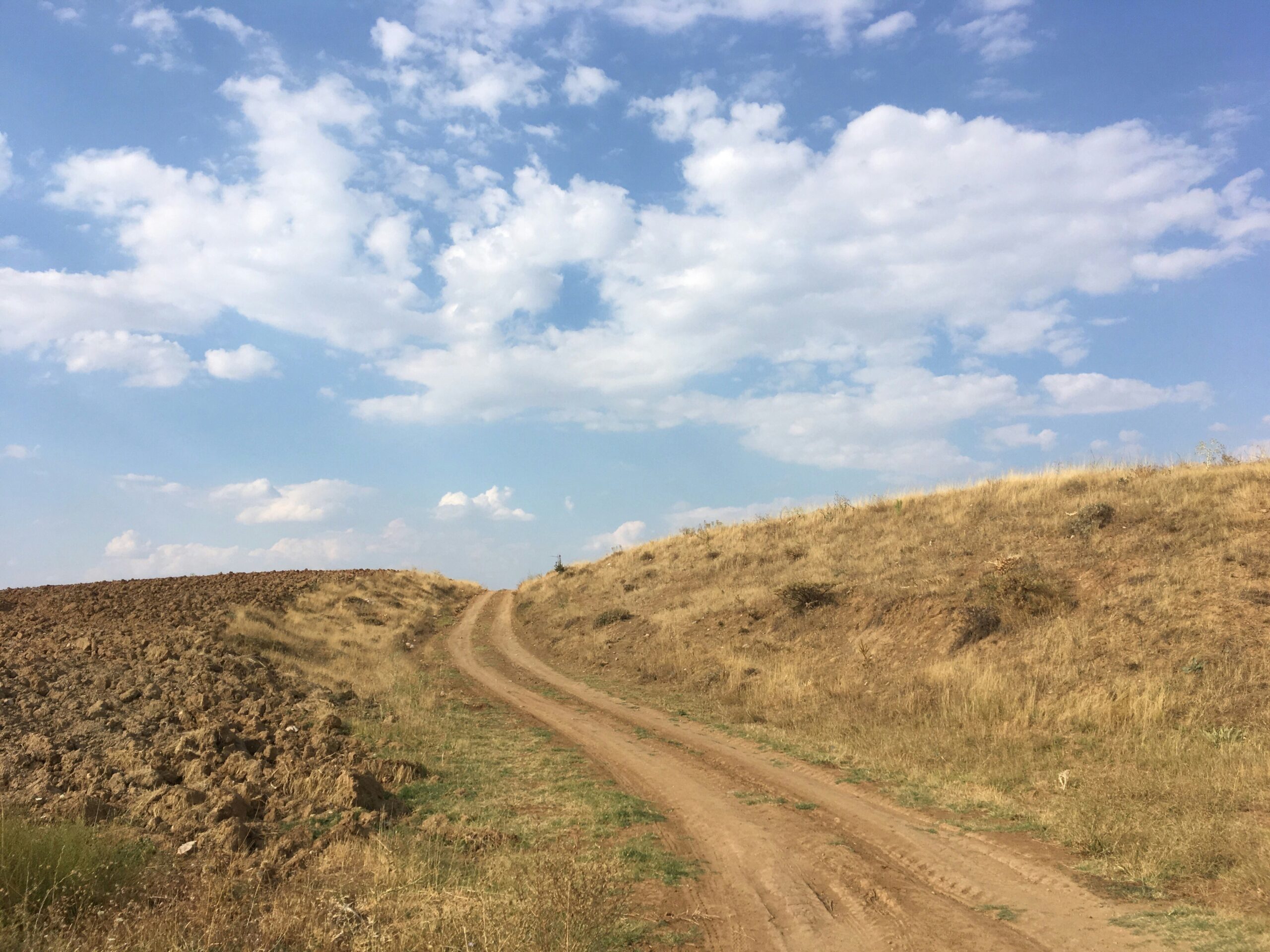 asako-k-G_gsKOXrNLg-unsplash